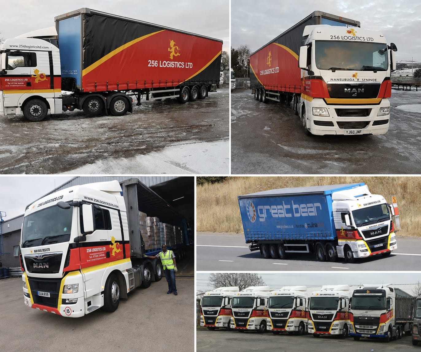 International Freight & Customs
